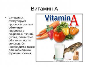 Витамин А Витамин А стимулирует процессы роста и обменные процессы в покровных т