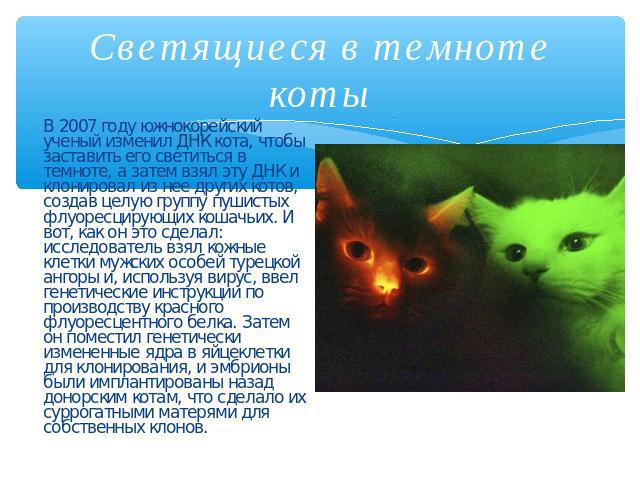 Светящиеся в темноте коты В 2007 году южнокорейский ученый изменил ДНК кота, чтобы заставить его светиться в темноте, а затем взял эту ДНК и клонировал из нее других котов, создав целую группу пушистых флуоресцирующих кошачьих. И вот, как он это сде…