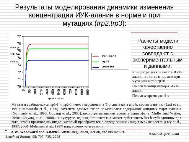 Результаты моделирования динамики изменения концентрации ИУК-аланин в норме и при мутациях (trp2,trp3): Расчёты модели качественно совпадают с экспериментальными данными:Концентрация конъюгата ИУК-аланин в клетке в норме и при мутациях (trp2,trp3):П…