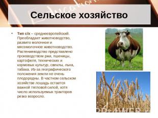 Сельское хозяйство Тип с/х – среднеевропейский. Преобладает животноводство, разв