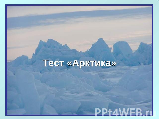 Тест «Арктика»