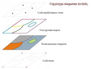 Структура покрытия ArcInfo, Слой атрибутивных точек Узло-дуговая модель Полигона