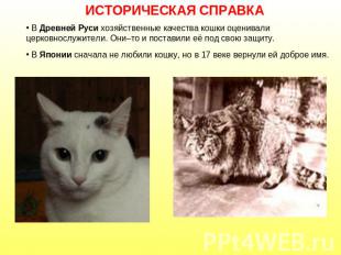 ИСТОРИЧЕСКАЯ СПРАВКА В Древней Руси хозяйственные качества кошки оценивали церко