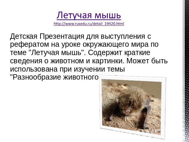 Летучая мышь http://www.rusedu.ru/detail_19420.html Детская Презентация для выступления с рефератом на уроке окружающего мира по теме 