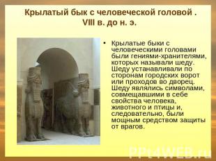 Крылатый бык с человеческой головой . VIII в. до н. э. Крылатые быки с человечес