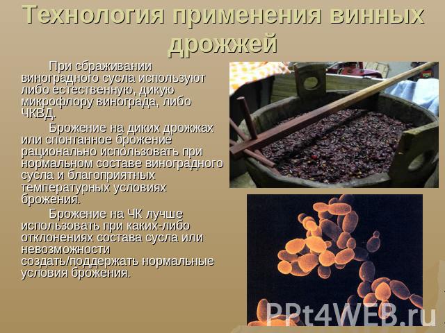 Технология применения винных дрожжей При сбраживании виноградного сусла используют либо естественную, дикую микрофлору винограда, либо ЧКВД.Брожение на диких дрожжах или спонтанное брожение рационально использовать при нормальном составе виноградног…
