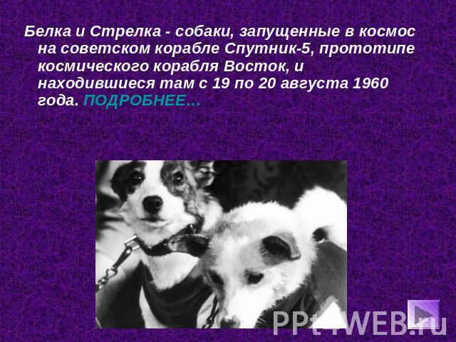 Белка и Стрелка - собаки, запущенные в космос на советском корабле Спутник-5, прототипе космического корабля Восток, и находившиеся там с 19 по 20 августа 1960 года. ПОДРОБНЕЕ…