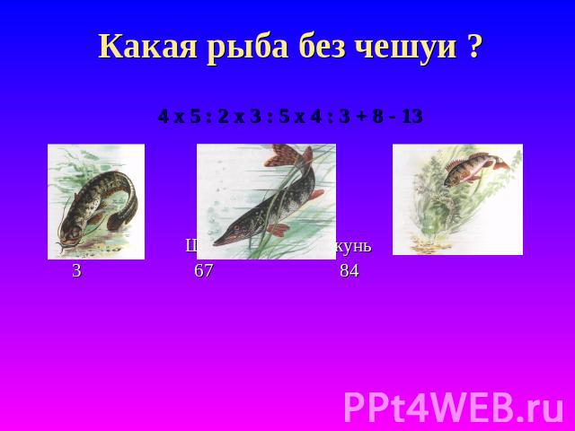 Какая рыба без чешуи ? 4 х 5 : 2 х 3 : 5 х 4 : 3 + 8 - 13 Сом Щука Окунь 3 67 84