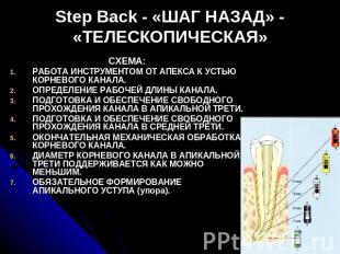 Step Back - «ШАГ НАЗАД» -«ТЕЛЕСКОПИЧЕСКАЯ» СХЕМА:РАБОТА ИНСТРУМЕНТОМ ОТ АПЕКСА К