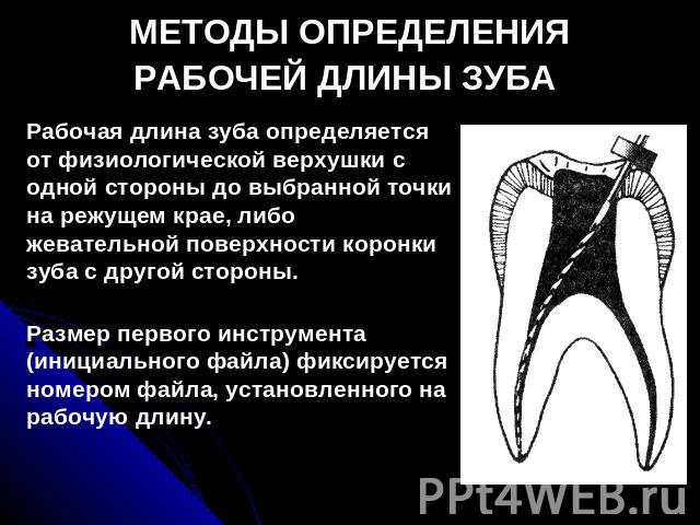 МЕТОДЫ ОПРЕДЕЛЕНИЯ РАБОЧЕЙ ДЛИНЫ ЗУБА Рабочая длина зуба определяется от физиологической верхушки с одной стороны до выбранной точки на режущем крае, либо жевательной поверхности коронки зуба с другой стороны.Размер первого инструмента (инициального…
