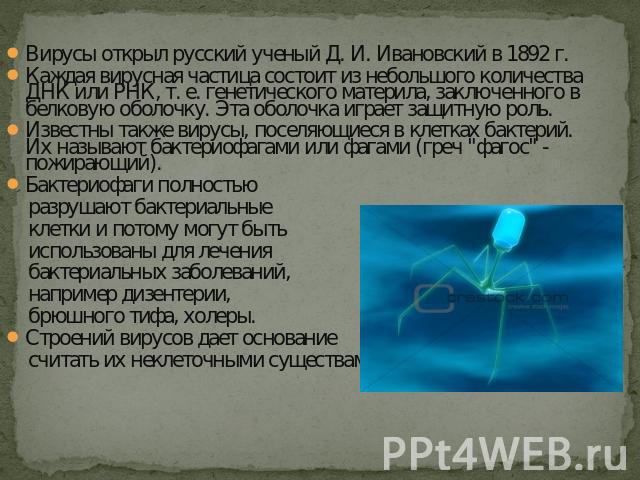 Вирусы открыл русский ученый Д. И. Ивановский в 1892 г.Каждая вирусная частица состоит из небольшого количества ДНК или РНК, т. е. генетического материла, заключенного в белковую оболочку. Эта оболочка играет защитную роль.Известны также вирусы, пос…