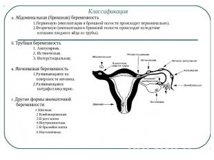 а. Абдоминальная (брюшная) беременность 1.Первичную (имплантация в брюшной полос