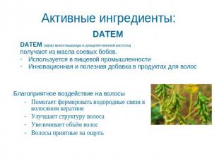 Активные ингредиенты: DATEM DATEM (эфир моноглицерида и диацетил-винной кислоты)