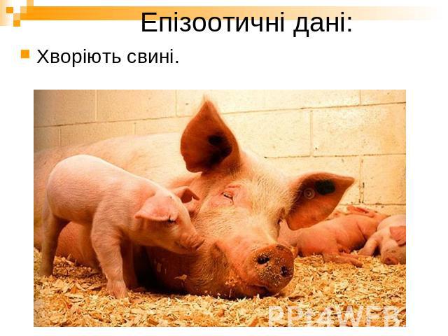 Епізоотичні дані:Хворіють свині.