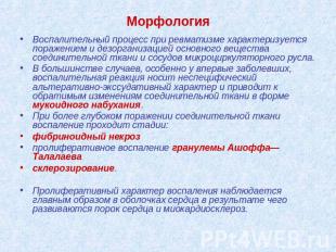 Воспалительный процесс при ревматизме характеризуется поражением и дезорганизаци