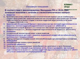 Основные показания: В соответствии с рекомендациями Минздрава РФ от 28.04.1994,