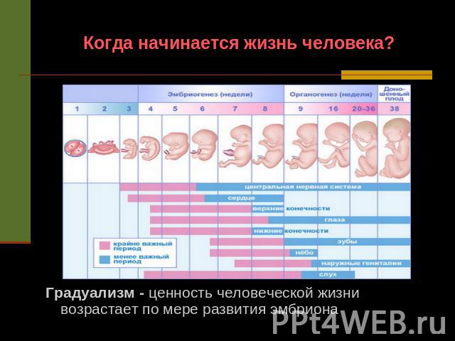 Когда начинается жизнь человека?Градуализм - ценность человеческой жизни возрастает по мере развития эмбриона
