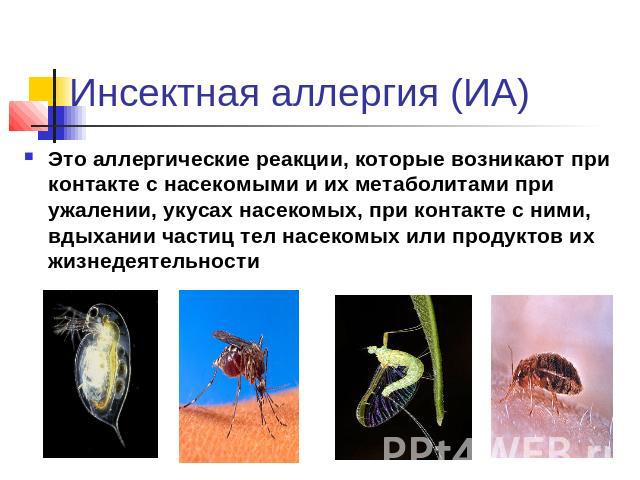 Инсектная аллергия (ИА) Это аллергические реакции, которые возникают при контакте с насекомыми и их метаболитами при ужалении, укусах насекомых, при контакте с ними, вдыхании частиц тел насекомых или продуктов их жизнедеятельности
