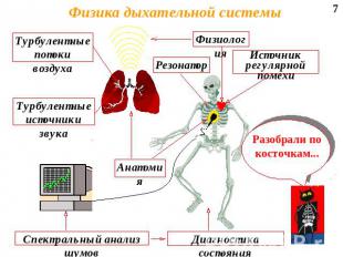 Физика дыхательной системы