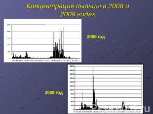 Концентрация пыльцы в 2008 и 2009 годах