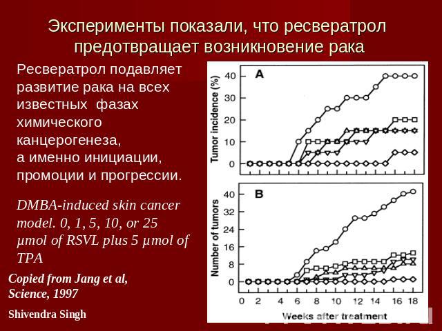 Эксперименты показали, что ресвератрол предотвращает возникновение рака Ресвератрол подавляет развитие рака на всехизвестных фазах химического канцерогенеза,а именно инициации, промоции и прогрессии. DMBA-induced skin cancer model. 0, 1, 5, 10, or 2…