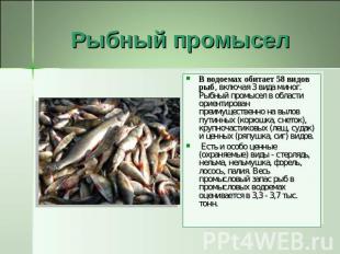Рыбный промысел В водоемах обитает 58 видов рыб, включая 3 вида миног. Рыбный пр