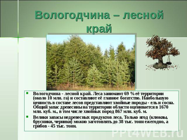 Вологодчина – лесной край Вологодчина - лесной край. Леса занимают 69 % её территории (около 10 млн. га) и составляют её главное богатство. Наибольшую ценность в составе лесов представляют хвойные породы - ель и сосна. Общий запас древесины на терри…