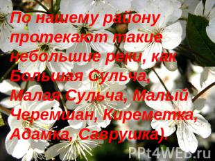 По нашему району протекают такие небольшие реки, как Большая Сульча, Малая Сульч