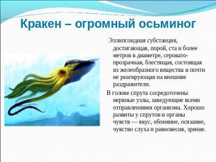 Кракен – огромный осьминог Эллипсоидная субстанция, достигающая, порой, ста и бо