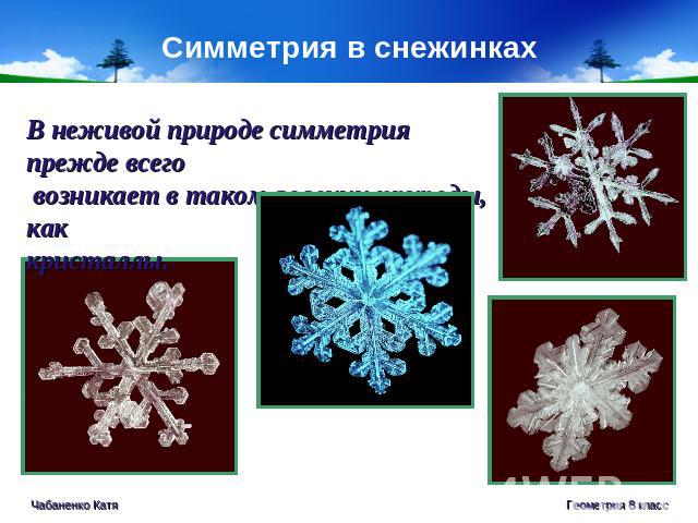 Симметрия в снежинках В неживой природе симметрия прежде всего возникает в таком явлении природы, как кристаллы.
