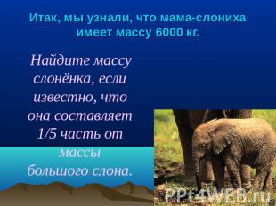 Итак, мы узнали, что мама-слониха имеет массу 6000 кг. Найдите массу слонёнка, е
