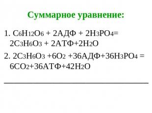 Суммарное уравнение: 1. С6Н12О6 + 2АДФ + 2Н3РО4= 2С3Н6О3 + 2АТФ+2Н2О2. 2С3Н6О3 +