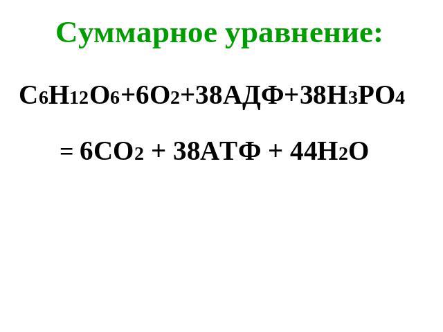 Суммарное уравнение: С6Н12О6+6О2+38АДФ+38Н3РО4 = 6СО2 + 38АТФ + 44Н2О