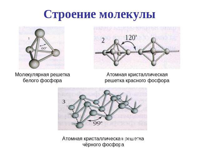 Строение молекулы Молекулярная решетка белого фосфора Атомная кристаллическая решетка красного фосфора Атомная кристаллическая решетка чёрного фосфора