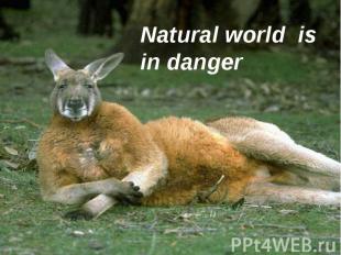 Natural world is in danger