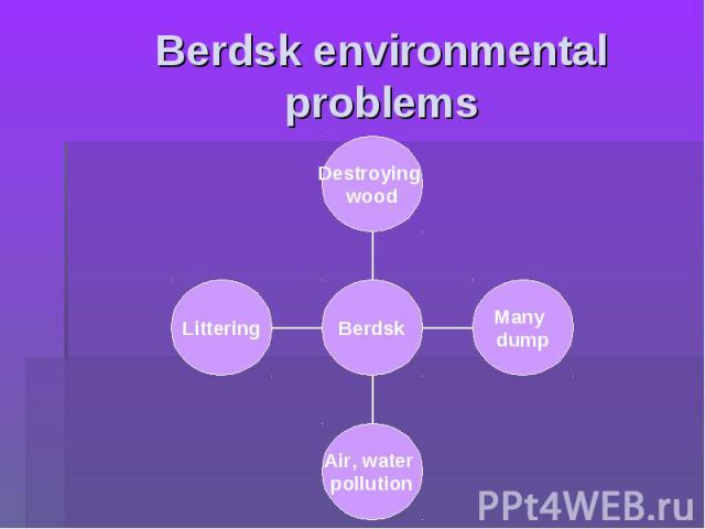 Berdsk environmentalproblems