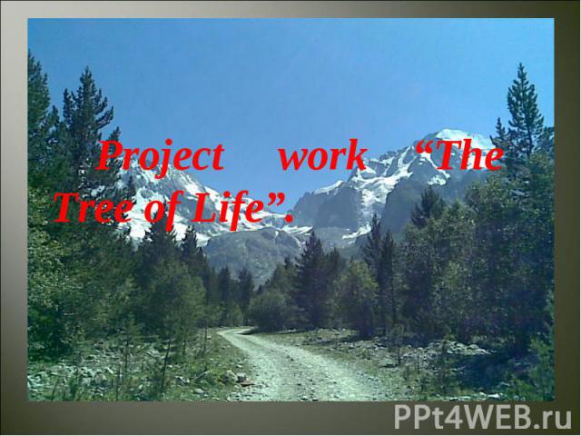 Project work “The Tree of Life”.