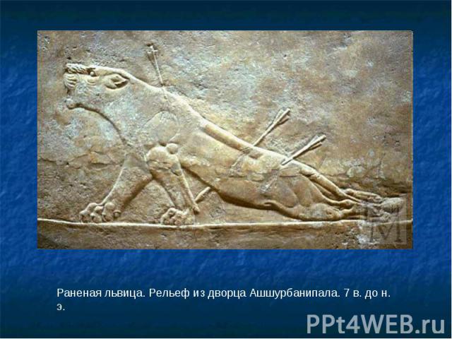 Раненая львица. Рельеф из дворца Ашшурбанипала. 7 в. до н. э.