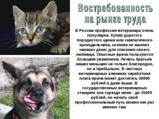 Востребованностьна рынке труда В России профессия ветеринара очень популярна. Ку