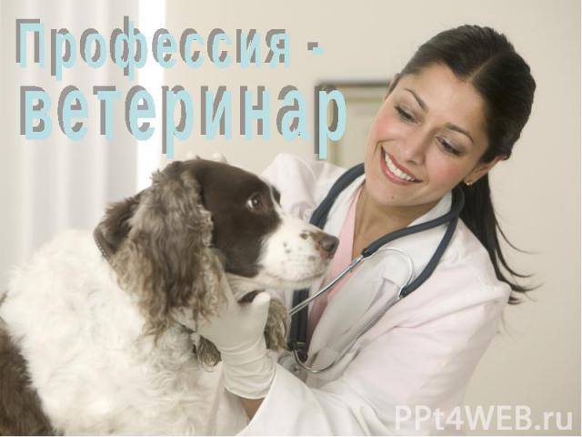 Профессия - ветеринар