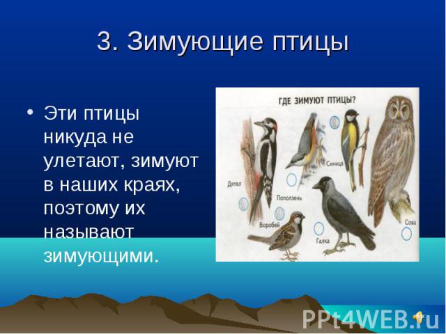 3. Зимующие птицы Эти птицы никуда не улетают, зимуют в наших краях, поэтому их называют зимующими.
