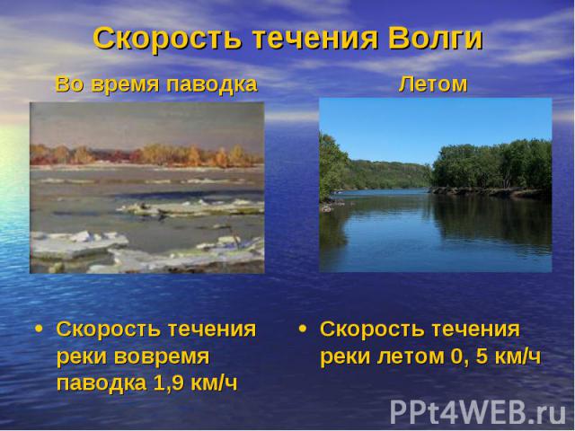Скорость течения Волги Во время паводкаСкорость течения реки вовремя паводка 1,9 км/ч ЛетомСкорость течения реки летом 0, 5 км/ч