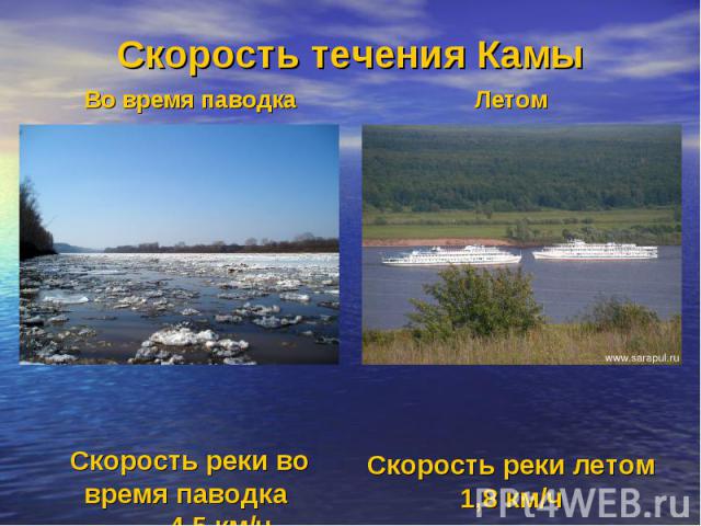 Скорость течения Камы Во время паводкаСкорость реки вовремя паводка 4,5 км/ч ЛетомСкорость реки летом1,8 км/ч