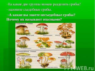 На какие две группы можно разделить грибы? назовите съедобные грибы. -А какие вы