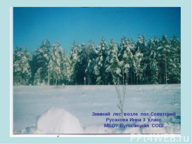 Зимний лес возле пос.СоветскийРусакова Инна 3 классМБОУ Бутылицкая СОШ