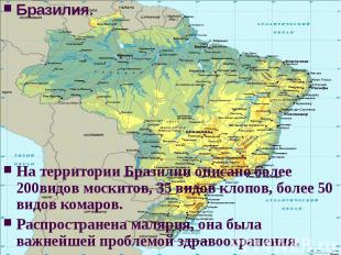 Бразилия.На территории Бразилии описано более 200видов москитов, 35 видов клопов