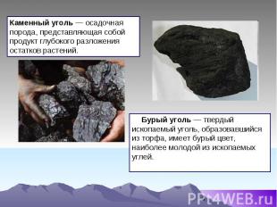 Каменный уголь — осадочная порода, представляющая собой продукт глубокого разлож