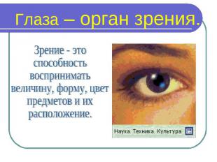 Глаза – орган зрения. Зрение - этоспособностьвосприниматьвеличину, форму, цветпр