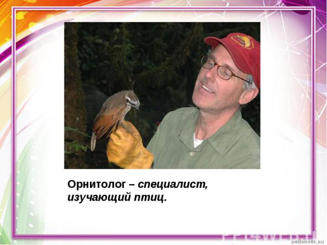 Орнитолог – специалист, изучающий птиц.
