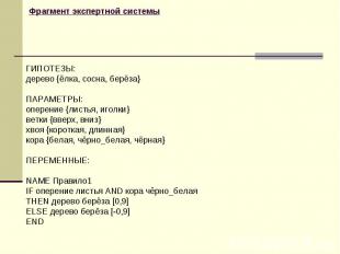 Фрагмент экспертной системы ГИПОТЕЗЫ:дерево {ёлка, сосна, берёза} ПАРАМЕТРЫ:опер
